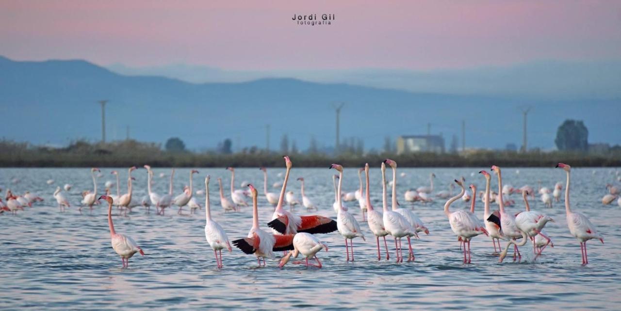 Вилла La Casa De Papel Альканар Экстерьер фото